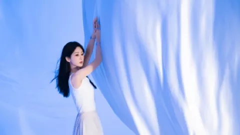 甄子丹回应带辛芷蕾入行