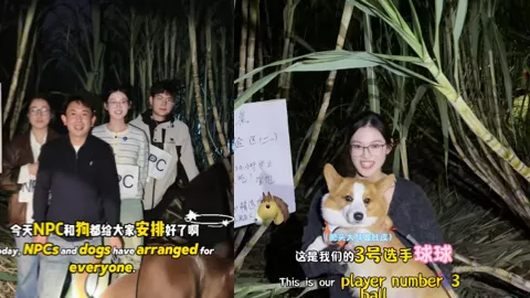 眉山真人版偷甘蔗