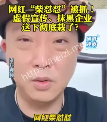 网红柴怼怼