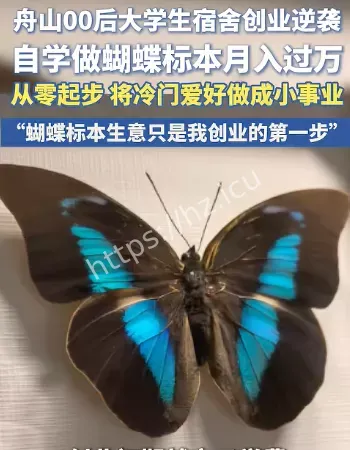 大学生手搓仿生蝴蝶